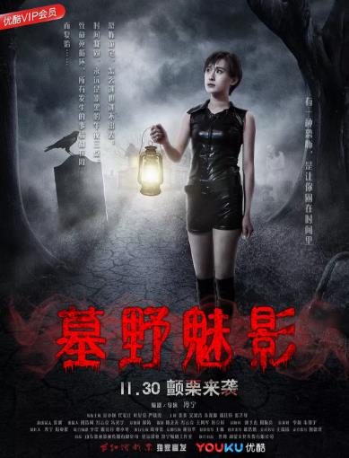 波尔多囚犯海报剧照