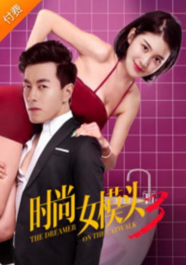 时尚女模头3海报剧照