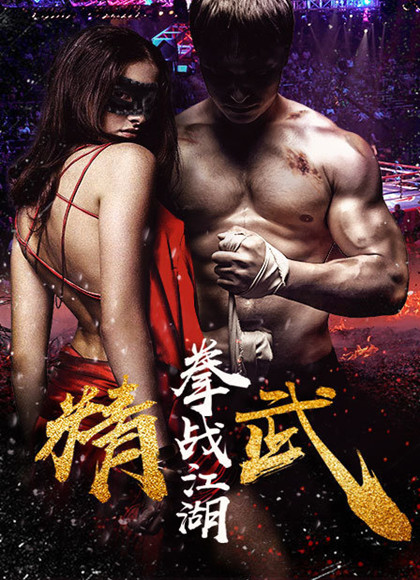 精武之拳战江湖海报剧照