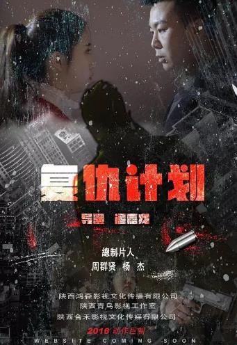 复仇计划海报剧照