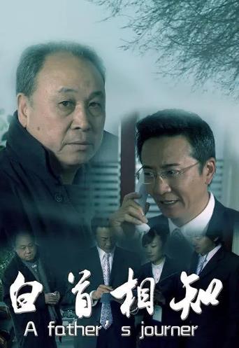 白首相知海报剧照
