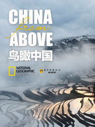 鸟瞰中国海报剧照