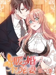 重生暖婚轻宠妻2海报剧照