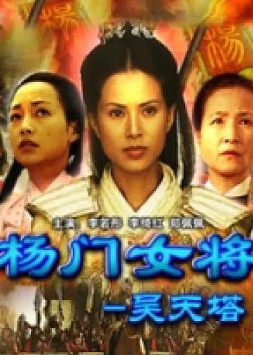 杨门女将昊天塔海报剧照