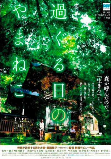 往日的山猫海报剧照