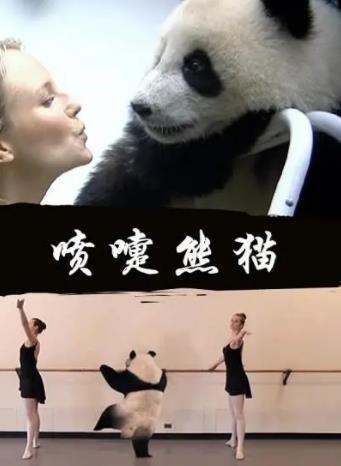 喷嚏熊猫海报剧照