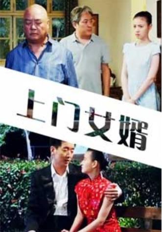上门女婿海报剧照