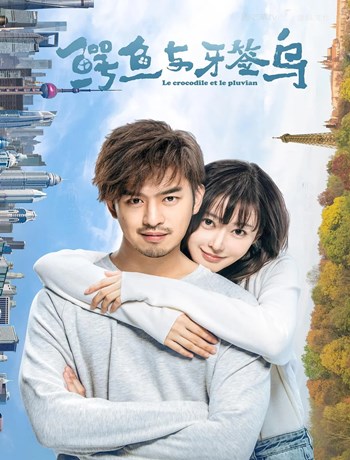 鳄鱼与牙签鸟2019海报剧照