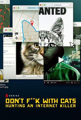 猫不可杀不可辱：网络杀手大搜捕海报剧照