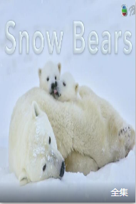 雪地熊心海报剧照