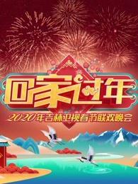 回家过年·吉林卫视春节联欢晚会2020海报剧照