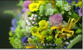 极度花艺粤语版海报剧照