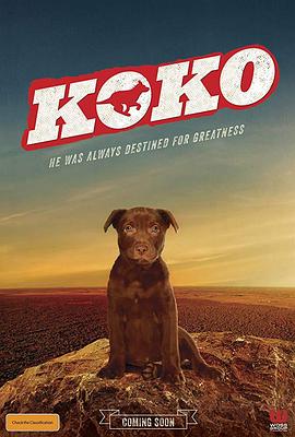 Koko:红犬历险记海报剧照