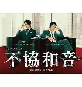 不协和音火刑警VS冰检察官海报剧照