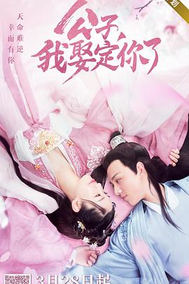 公子,我娶定你了海报剧照