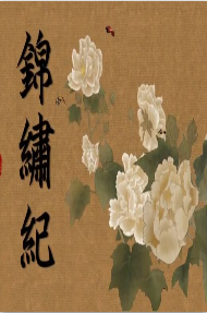 锦绣纪海报剧照