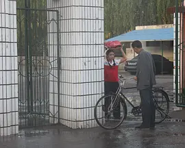 父亲是棵树海报剧照