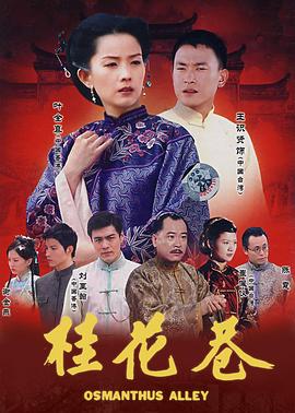 辛家媳妇/桂花巷海报剧照