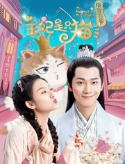 报告王爷，王妃是只猫海报剧照