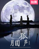 月圆孤声海报剧照