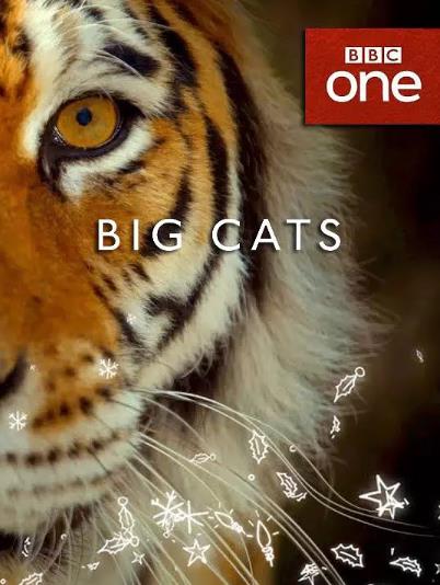 大猫BigCa第一季海报剧照