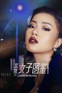 北京女子图鉴之助理女王北京女子图鉴之助理女王海报剧照