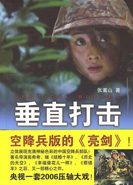 垂直打击海报剧照