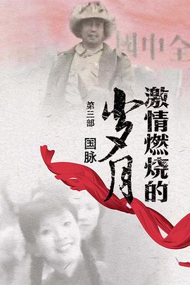 激情燃烧的岁月3海报剧照