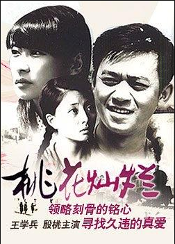 桃花灿烂海报剧照