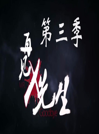 我和X先生第三季海报剧照