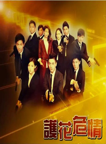 护花危情[国语]海报剧照