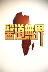 医道无界粤语版海报剧照