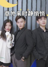 意外来时静悄悄海报剧照