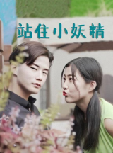 站住小妖精海报剧照
