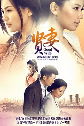 贤妻海报剧照