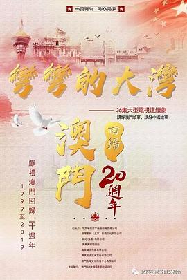 湾区儿女海报剧照