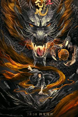降龙神掌苏乞儿2海报剧照