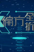 X偏方-全民拆解3海报剧照