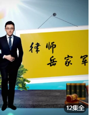 律师岳家军第1季海报剧照