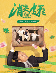 消失的皮箱海报剧照