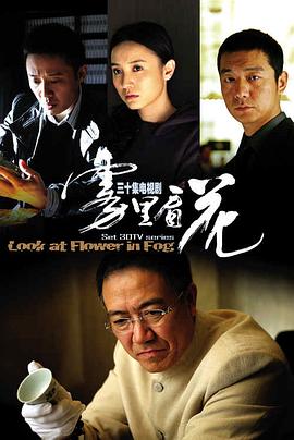 雾里看花海报剧照