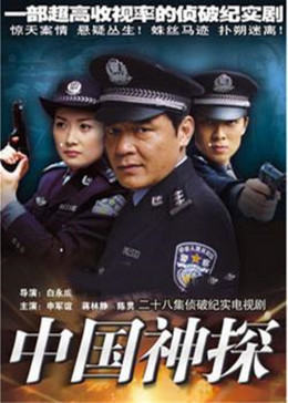 刑案解密海报剧照