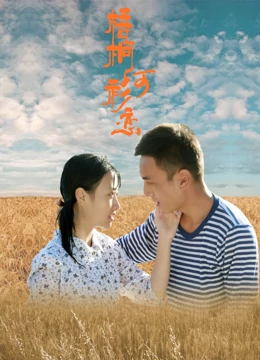 梧桐河衫恋海报剧照
