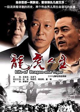 龙虎人生海报剧照