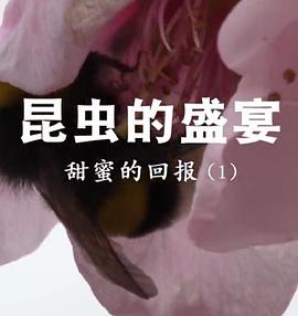 昆虫的盛宴海报剧照