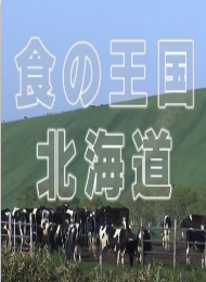 期间限定北海道海报剧照