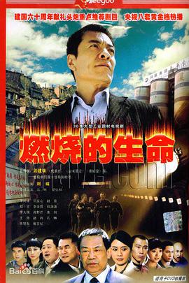 燃烧的生命海报剧照