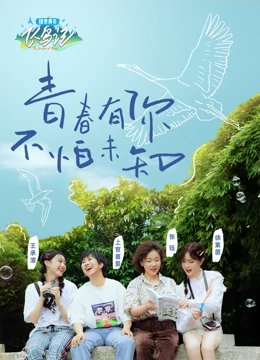 探索青年飞鸟记海报剧照