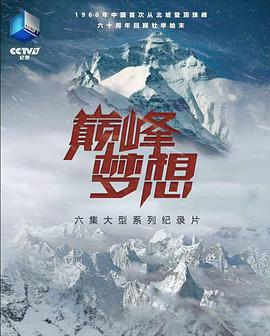 巅峰梦想海报剧照