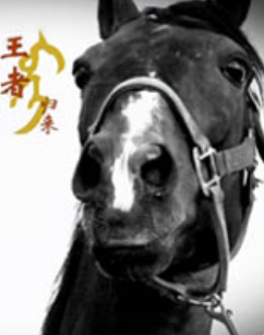 王者归来海报剧照